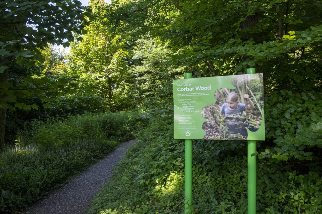 Corbar Woods - Credit: Buxton Civic Association