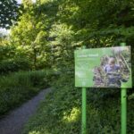 Corbar Woods - Credit: Buxton Civic Association