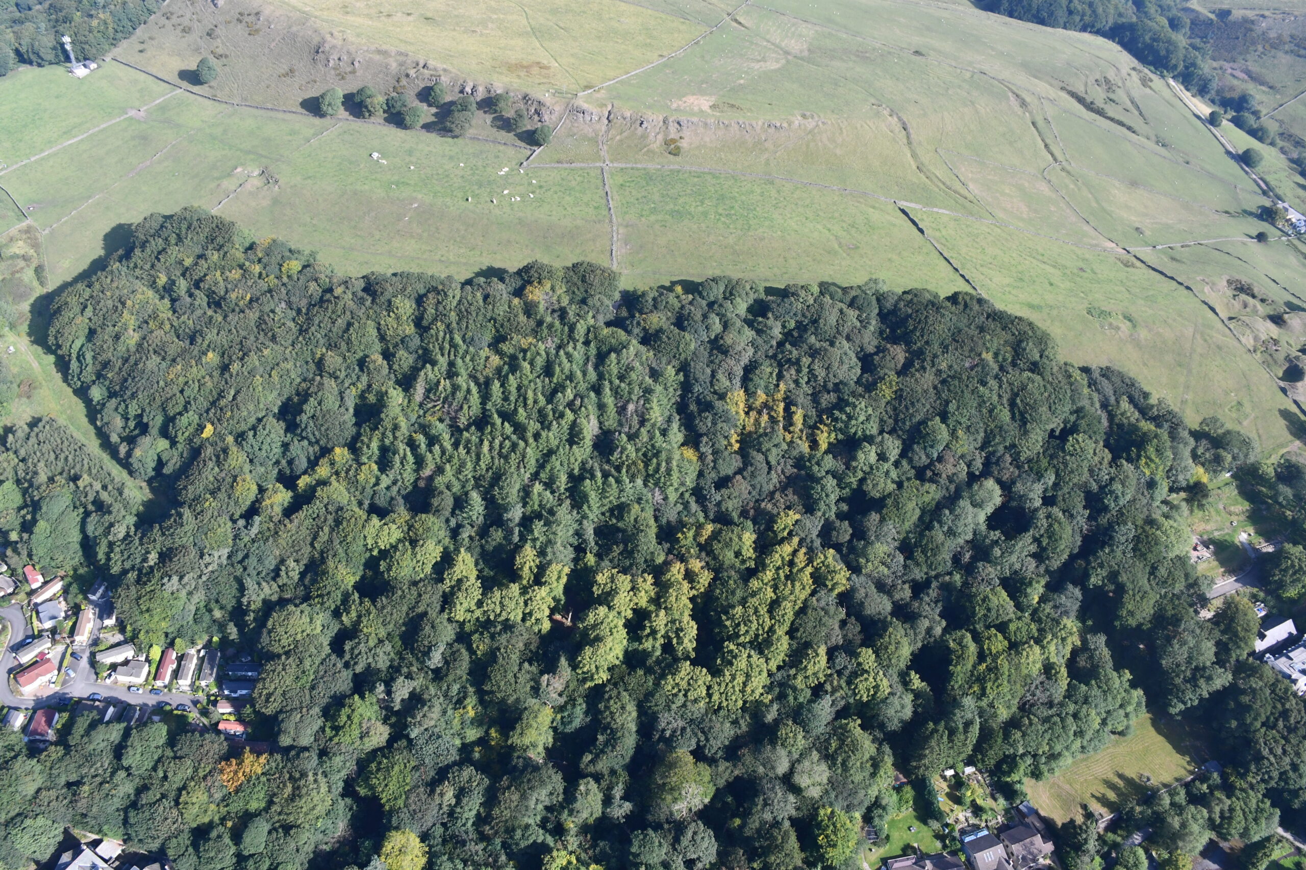 Corbar aerial view - Credit: Forestry Commission